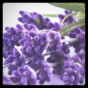 Lava beads and essential oils